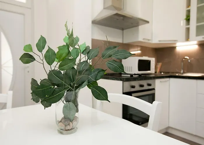 1 Apartment