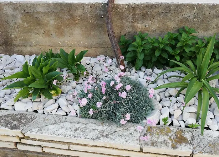 Апартаменты 1